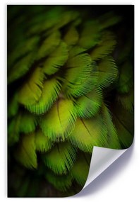 Gario Plagát Abstrakt zo zeleného peria Farba rámu: Bez rámu, Veľkosť: 30 x 45 cm