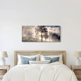 Obraz stromu v hmle (120x50 cm)