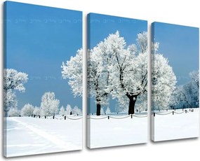 Obraz na stenu STROMY