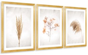 Gario Sada plagátov Dry nature - 3 dielna Farba rámu: Zlatá, Rozmery: 99 x 45 cm