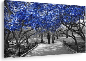 Obrázok - Modré stromy, Central Park, New York (90x60 cm)