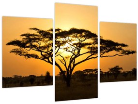 Obraz - Africká savana (90x60 cm)