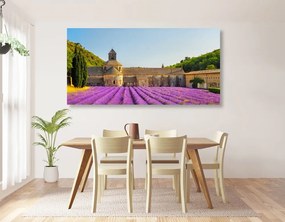 Obraz Provensálsko s levanduľovými poľami - 100x50