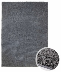 Dekorstudio Koberec s dlhým vlasom SOFTSHINE tmavo sivý Rozmer koberca: 120x170cm