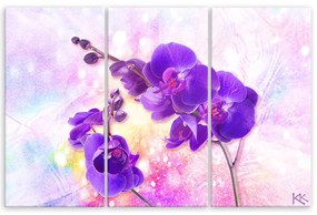 Obraz na plátně třídílný, Fialová orchidej - 150x100 cm
