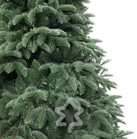 Smrek Oregon extra hustý 240 cm