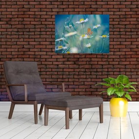 Obraz - Motýľ na sedmokráske (70x50 cm)