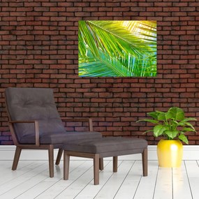 Sklenený obraz - Palmové listy (70x50 cm)