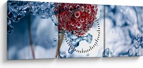 Obraz - detail maliny vo vode (s hodinami) (90x30 cm)