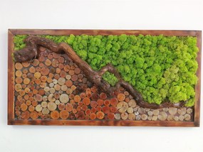 Machovo-drevený obraz 50cm x 100cm