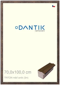 DANTIK rám na obraz 70x100 | TRITON měď antik (Plexi Čiré)