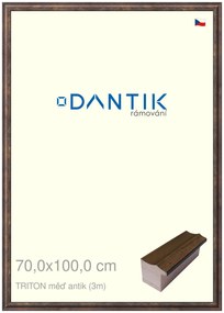 DANTIK rám na obraz 70x100 | TRITON měď antik (Plexi Čiré)