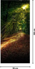 Fototapeta na dvere - Lesná cesta (95x205cm)