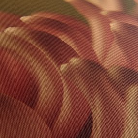 Obraz detailu kvety (150x105 cm)
