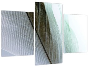 Obraz - Perie, makro (90x60 cm)