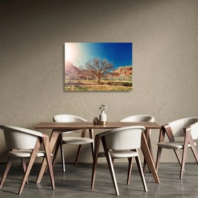Sklenený obraz stromu v púšti (70x50 cm)