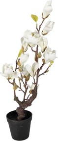 Dekoračný stromček Magnolia s bielymi kvetmi - 16*14*60 cm