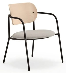 Svetlosivé kreslo v dekore jaseňa Eclipse - Teulat