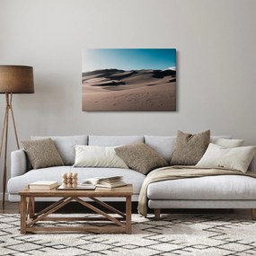 Obraz - Z púšte (90x60 cm)