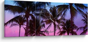 Obraz - Palmy v Miami (s hodinami) (90x30 cm)