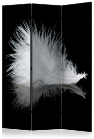 Artgeist Paraván - White feather [Room Dividers]