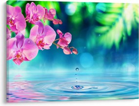 Obraz - Orchidea (70x50 cm)