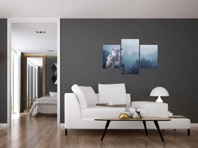 Obraz - Sova snežná (90x60 cm)