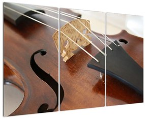 Obraz huslí