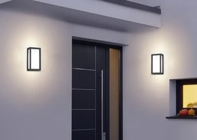 Trio Timok led nástenné svietidlo antracit 228060142 TR228060142