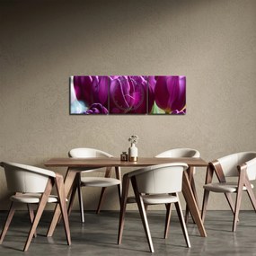Obraz tulipánov (s hodinami) (90x30 cm)