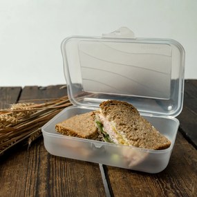 Rotho Desiatový box, do školy aj na cesty, FUNBOX, 1,25 l