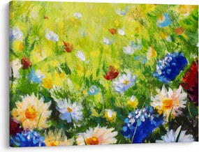 Obraz rozkvitnutej lúky, olejomaľba (70x50 cm)