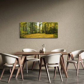 Obraz - les v jeseni (120x50 cm)