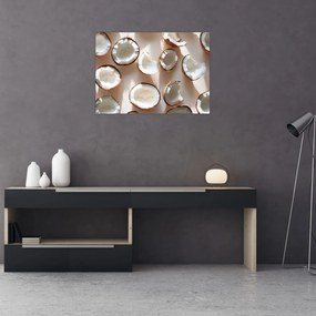 Obraz - Kokosové orechy (70x50 cm)