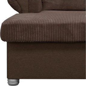 Tmavohnedá menčestrová leňoška Lord – Ropez