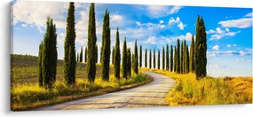 Obraz - Krajina (120x50 cm)