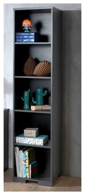 Tmavosivá detská knižnica 46x195 cm London – Vipack