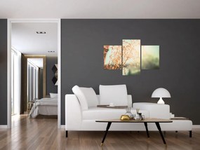 Obraz - Rastliny po daždi (90x60 cm)