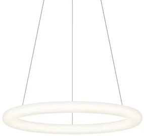 Top Light - LED stmievateľný závesný luster na lanku RINGO LED/40W/230V 3000-6500K biela + diaľkové ovládanie