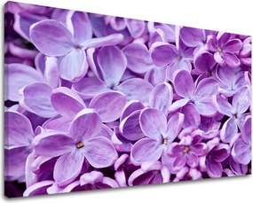 Obraz na stenu KVETY KV046E11 - 60x90 cm