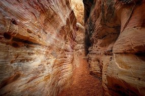 Samolepiaca fototapeta cestička Grand Canyonom - 300x200