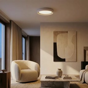 Brilagi - LED stmievateľné stropné svietidlo WALDO LED/48W/230V priemer 40 cm biela/strieborná s diaľkovým ovládaním