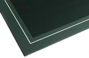 Aqualine Aqualine, Kúpeľňová predložka 50x80cm, absorpčná, zelená, PCD013