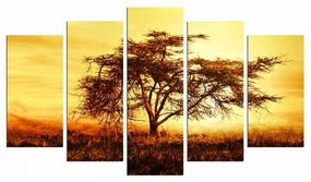 Viacdielny obraz Tree In The Golden Hour 110x60 cm