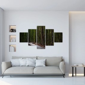Obraz - Medzi bambusy (125x70 cm), 40 ďalších rozmerov
