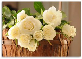 Obraz na plátně Bílé růže Květiny Příroda - 60x40 cm