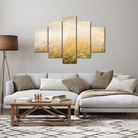 Obraz - Pole na jeseň (150x105 cm)
