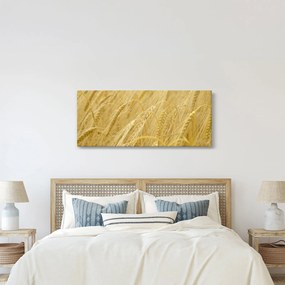 Obraz - Jačmeň (120x50 cm)