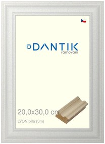 DANTIK rám na obraz 20x30 | LYON Bílá (Sklo Čiré)