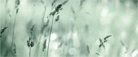 Obraz - Zelená lúka (120x50 cm)